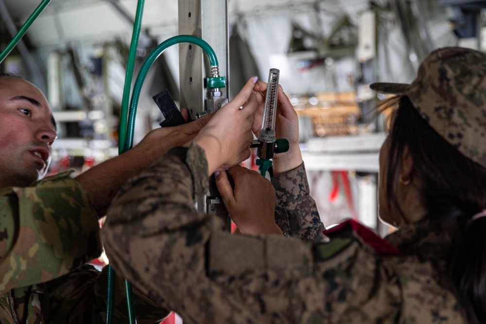 US, Tunisia conduct aeromedical evacuation training during African Lion 2025
