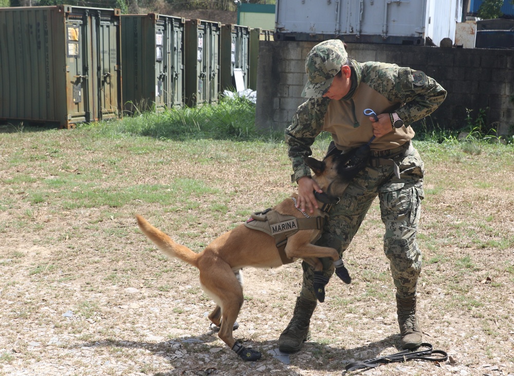 TRADEWINDS 25 canine training enhances operational readiness
