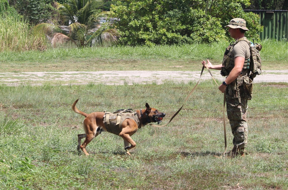 TRADEWINDS 25 canine training enhances operational readiness