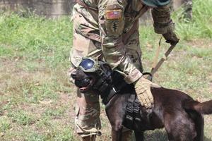AFN Naples Radio News - National Guard and USO Canine Program