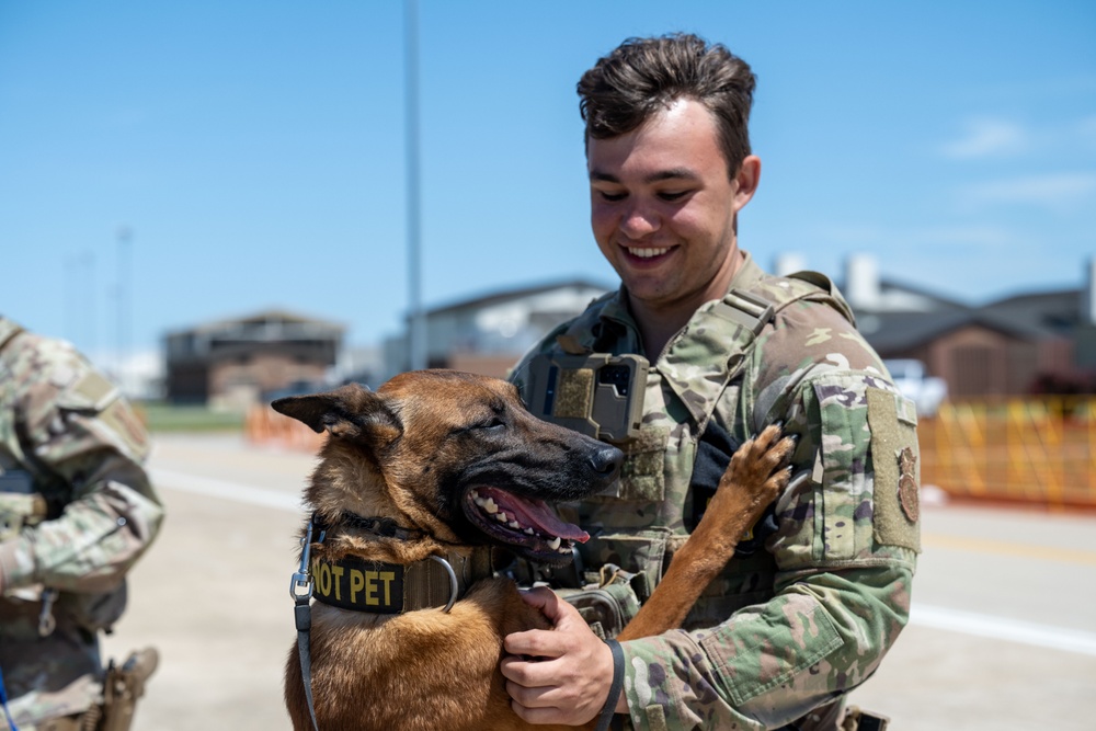 Sun, Skies, and Smiles: A Perfect Day at Air Power Over Hampton Roads