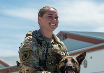 Sun, Skies, and Smiles: A Perfect Day at Air Power Over Hampton Roads