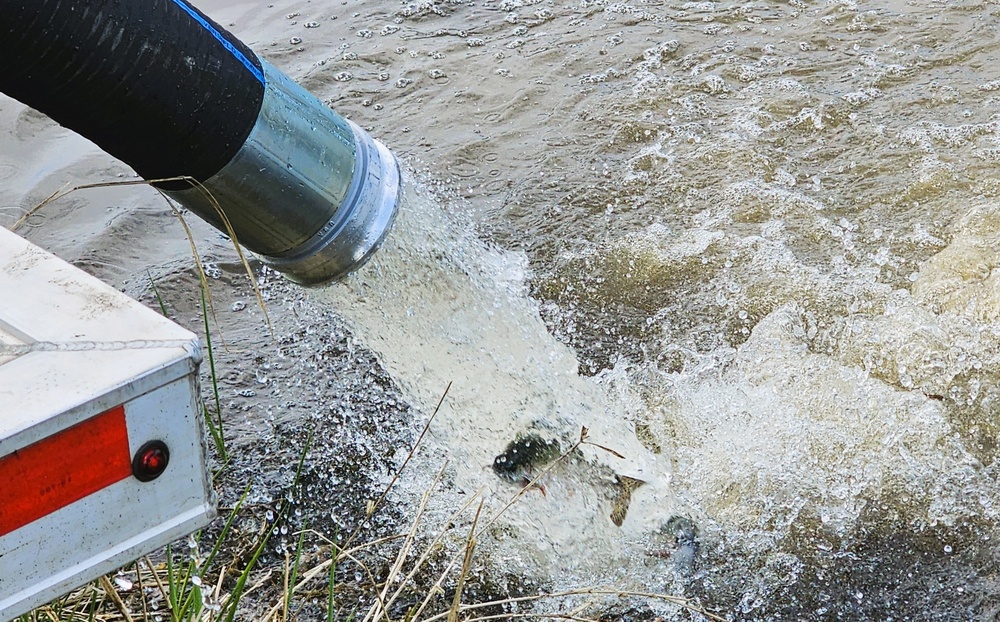 U.S. Fish and Wildlife Service completes 2025 stocking of more than 15,000 rainbow trout in Fort McCoy’s waterways
