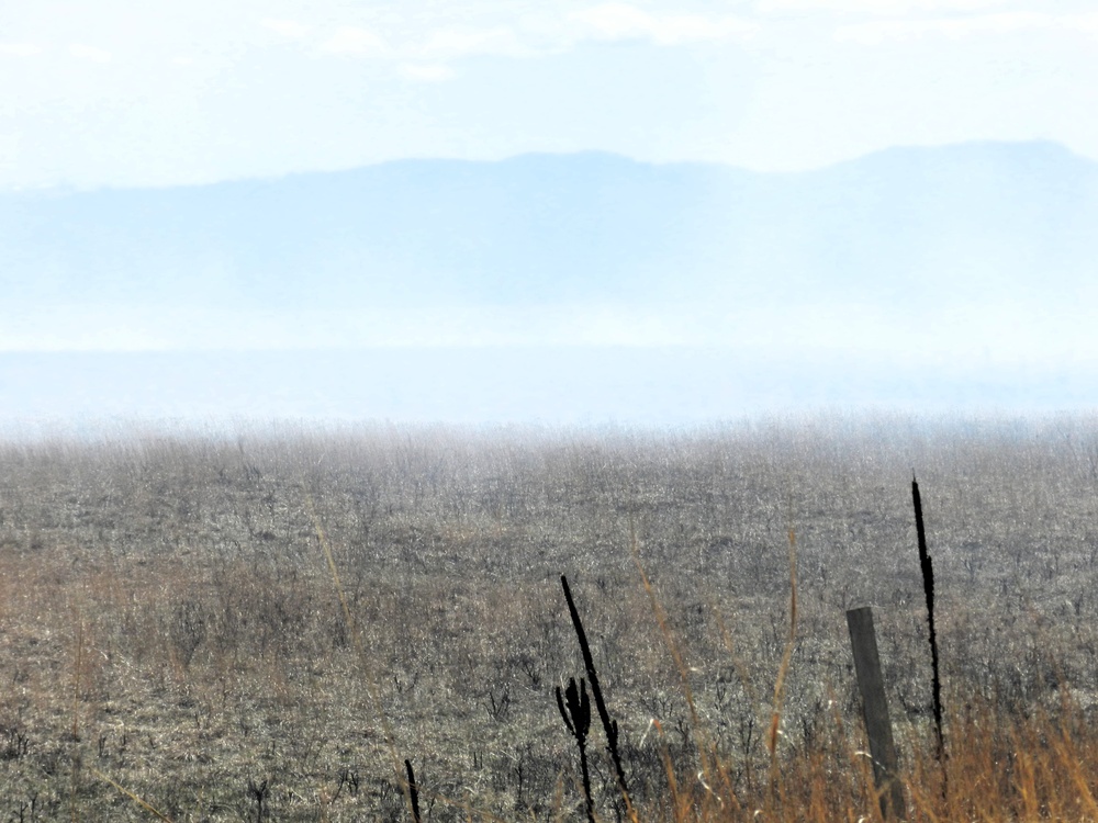 Fort McCoy’s prescribed burn team holds last burn for 2025 spring season