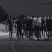 Training Command's Fittest Instructor Competition
