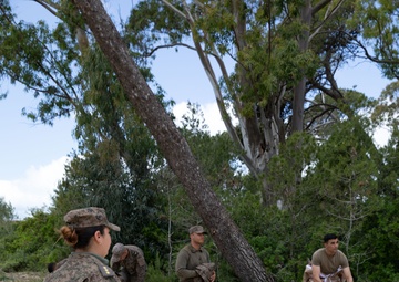 US, Tunisia conduct biological detection lanes at African Lion 2025