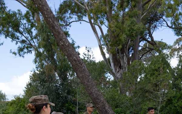 US, Tunisia conduct biological detection lanes at African Lion 2025