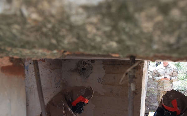 US, Tunisia conduct biological detection lanes at African Lion 2025