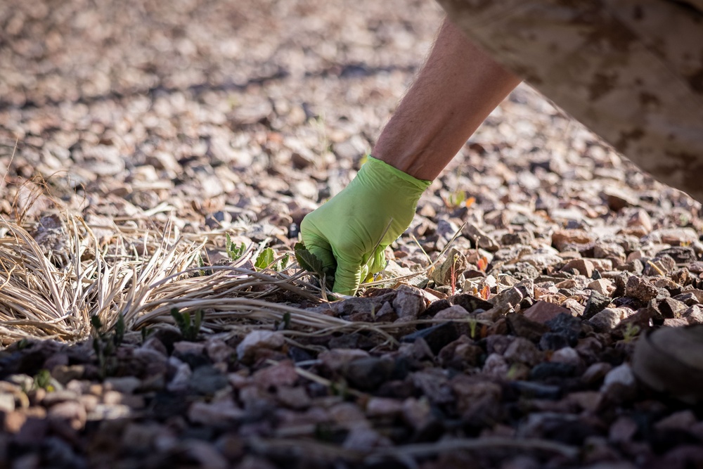 7th Marine Regiment conducts Operation Clean Sweep-II