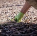 7th Marine Regiment conducts Operation Clean Sweep-II