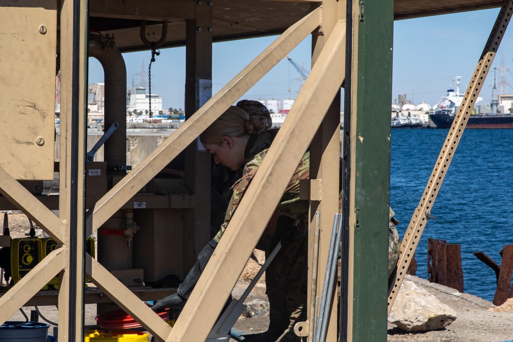 US and Tunisia forces conduct water purification operations during African Lion 2025