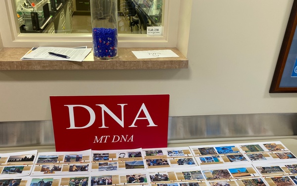 DNA...It's In Our Blood