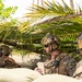 Balikatan 25: MRF – D 25.3, ADF, PAF conduct close-air support rehearsal