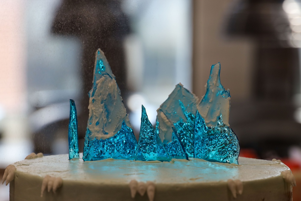 MCEAP Cake Decorating Course