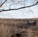 Minnesota, NATO allies compete for 2025 Best Warrior