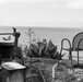 Malibu Village Walkthrough