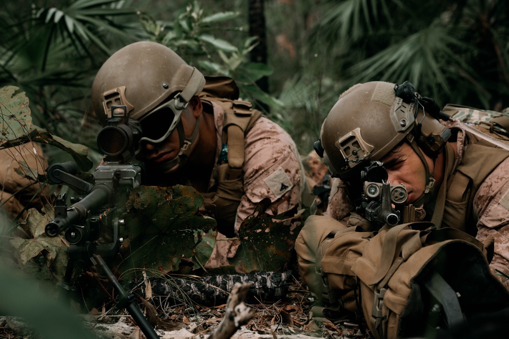 MRF-D 25.3: Marines conduct on-off drills