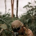 MRF-D 25.3: Marines conduct on-off drills