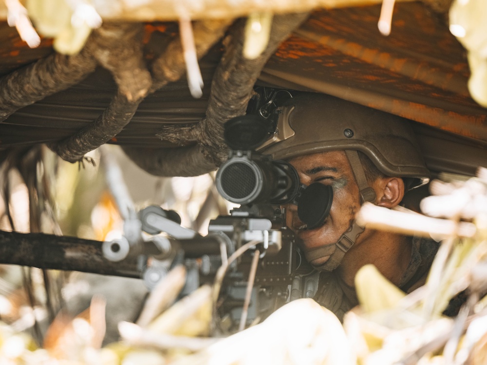 Balikatan 25: MRF-D 25.3, 3dMBde conduct counter-landing live-fire