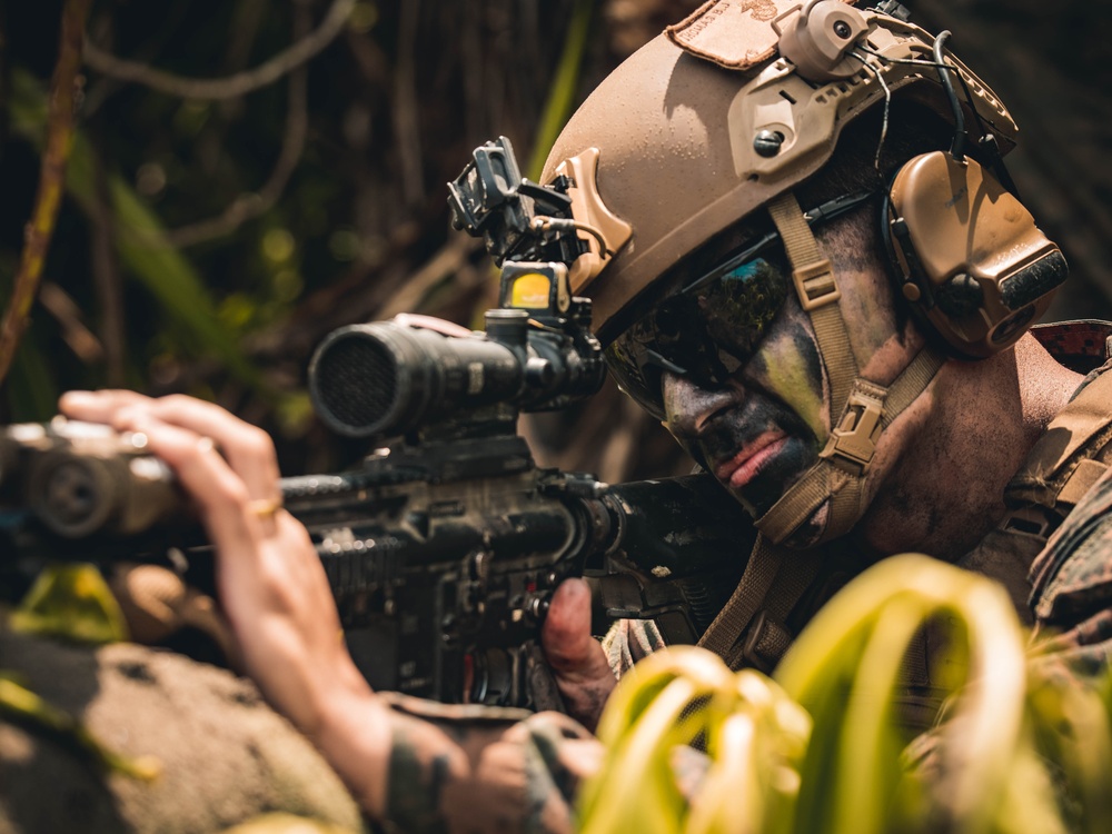 Balikatan 25: MRF-D 25.3, 3dMBde conduct counter-landing live-fire