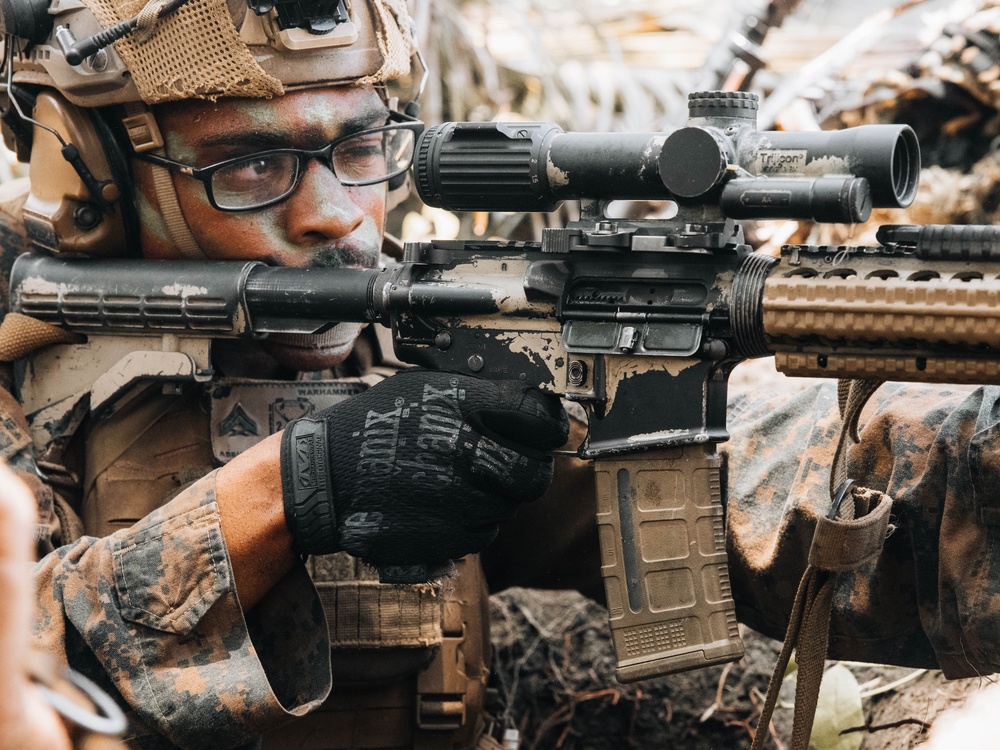 Balikatan 25: MRF-D 25.3, 3dMBde conduct counter-landing live-fire