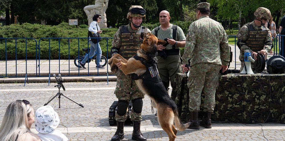 U.S. Army Soldiers participate in the Romanian Land Forces Day celebration