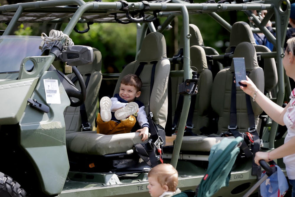 Romanian Land Forces Day