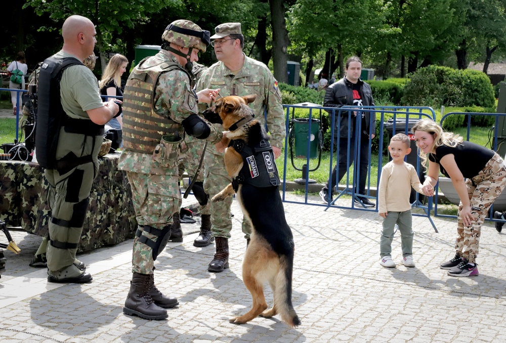 Romanian Land Forces Day