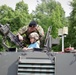 Romanian Land Forces Day