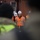 Operation “Swift Response” arrives at the Port of Narvik