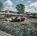 Rangers push limits during elite Best Sapper Competition