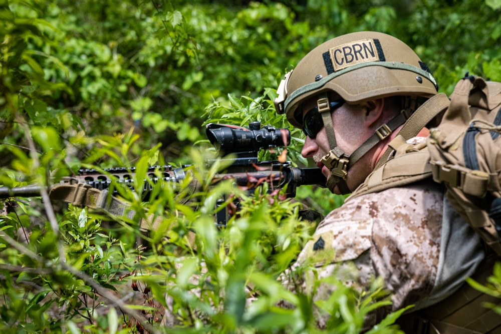 22nd MEU Conducts Nimble Elder