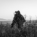 MARSOC conducts training at Camp Guernsey, Wyoming