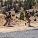 MARSOC Conducts Training at Camp Guernsey, WY
