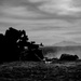 MARSOC Conducts Training at Camp Guernsey, WY