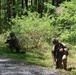MEDCoE: Day 2