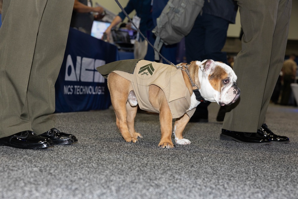 Modern Day Marine 2025
