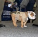 Modern Day Marine 2025