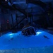 D.C. Army National Guard pilots conduct Helicopter Underwater Egress Training (HUET)