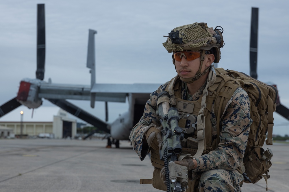 31st MEU | Animal Co. BLT 1/7 conduct aircraft rehearsals