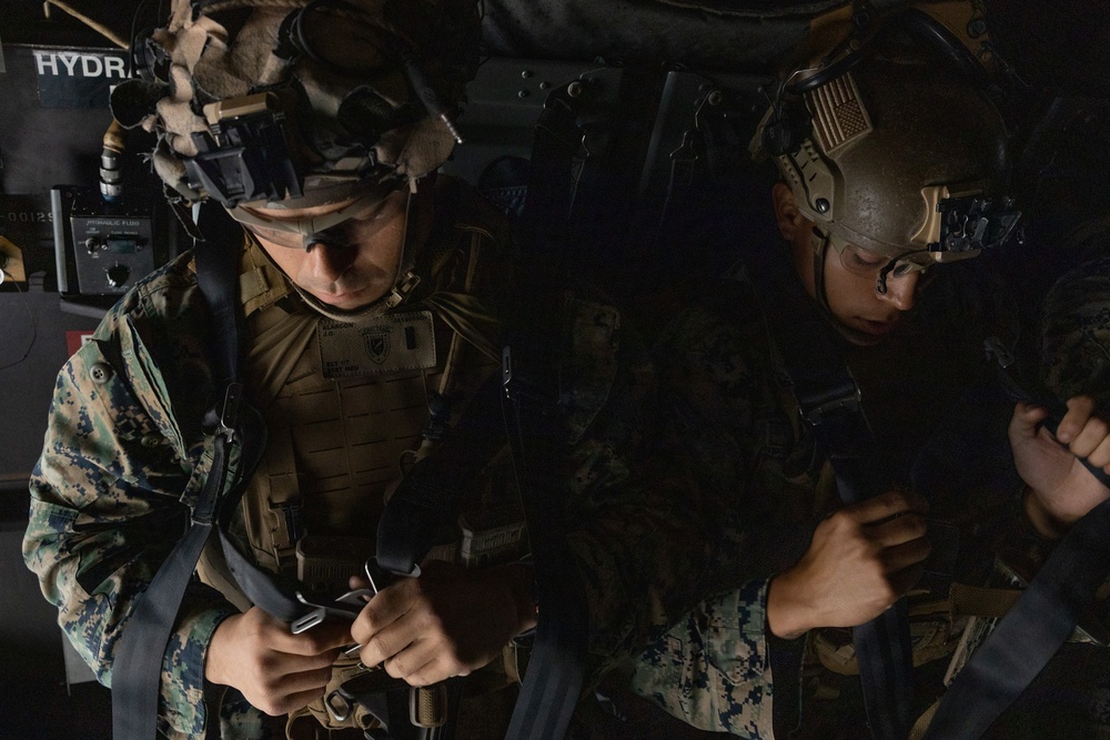31st MEU | Animal Co. BLT 1/7 conduct aircraft rehearsals