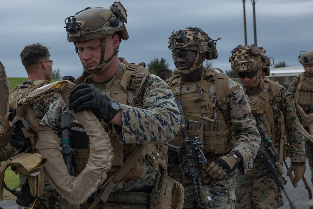 31st MEU | Animal Co. BLT 1/7 conduct aircraft rehearsals