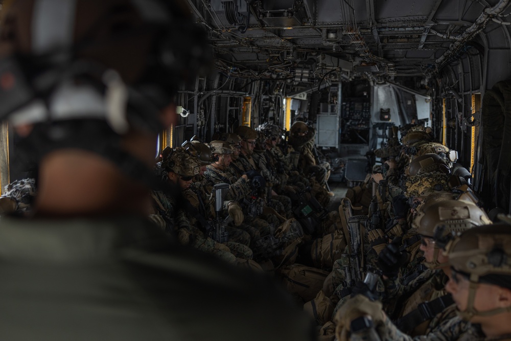 31st MEU | Animal Co. BLT 1/7 conduct aircraft rehearsals
