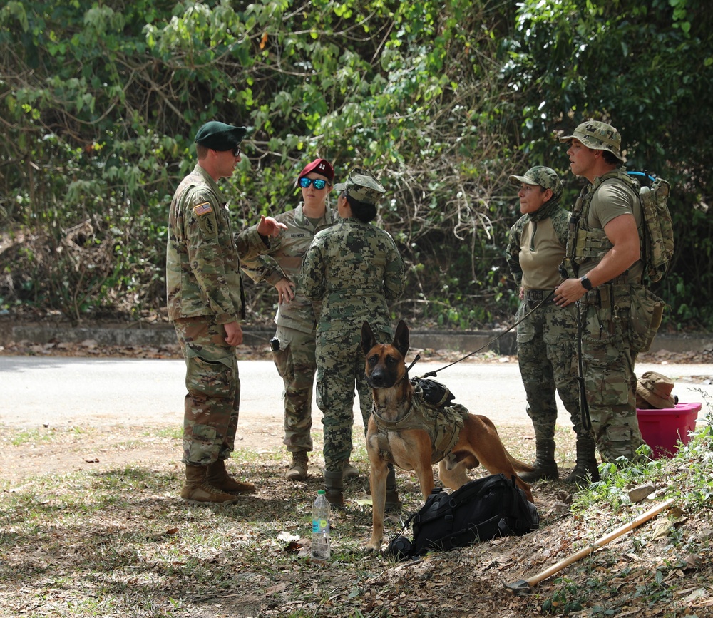 TRADEWINDS 2025 canine training enhances operational readiness