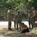 TRADEWINDS 2025 canine training enhances operational readiness