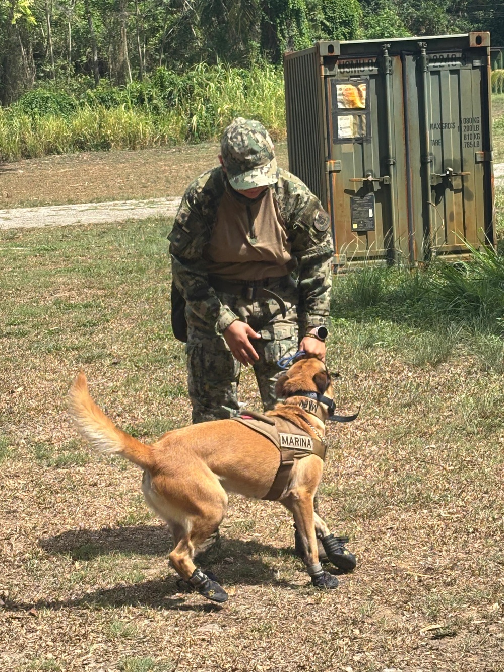 TRADEWINDS 2025 canine training enhances operational readiness