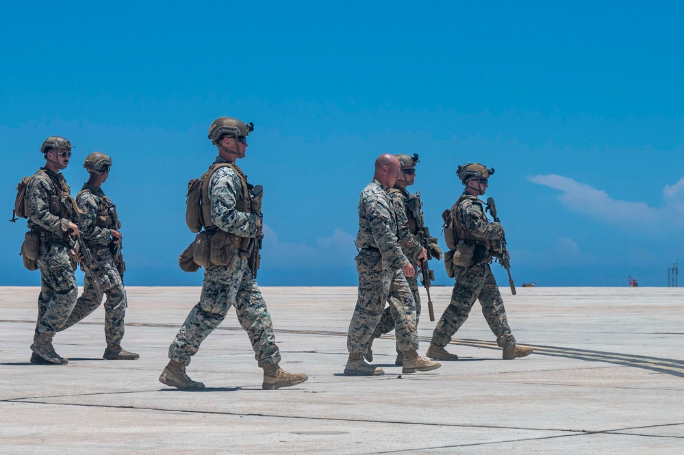 DoD supports DHS, ICE during illegal alien arrival flight