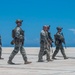DoD supports DHS, ICE during illegal alien arrival flight