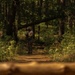 E3B Daytime Land Navigation
