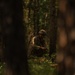 E3B Daytime Land Navigation